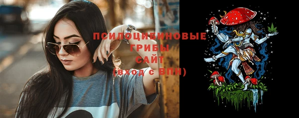 прущие крисы Горняк