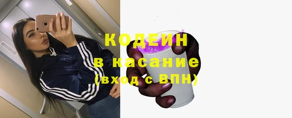 прущие крисы Горняк