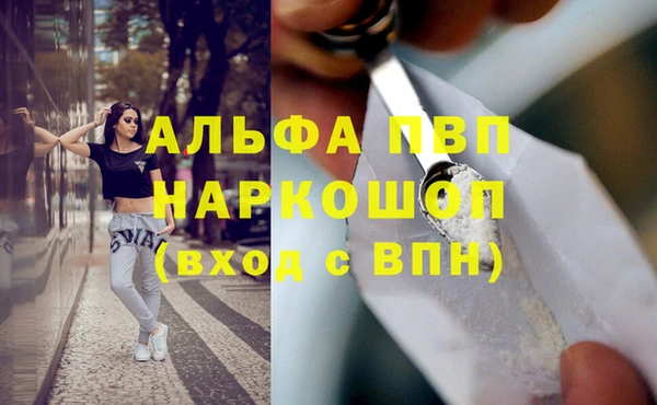 прущие крисы Горняк
