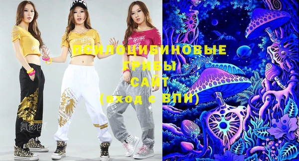 прущие крисы Горняк