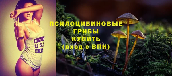 бутират Горнозаводск