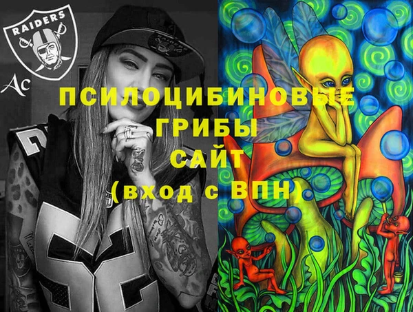 прущие крисы Горняк
