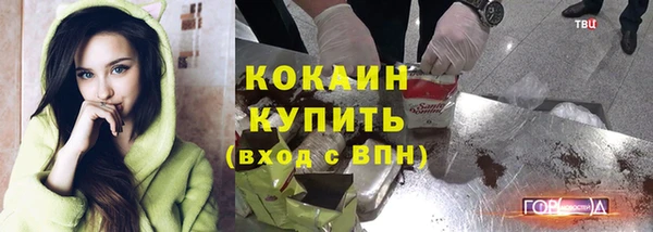 прущие крисы Горняк