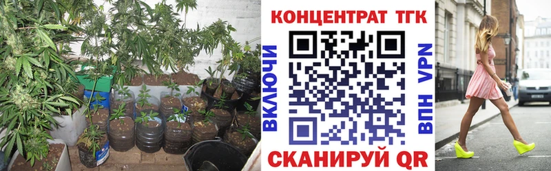 Дистиллят ТГК THC oil  мега рабочий сайт  Новый Оскол 